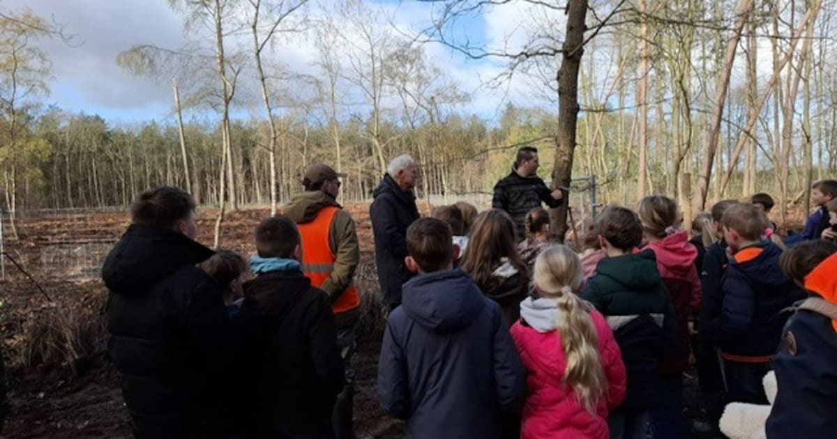 Leerlingen plantten bomen en struiken bij Oud Meer in Son en Breugel