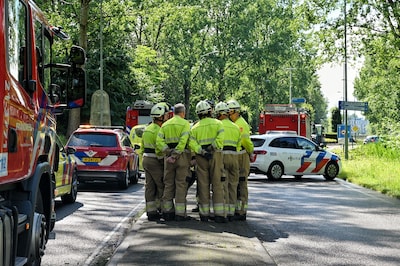 Bestuurder overleden nadat boom op bestelbus valt 