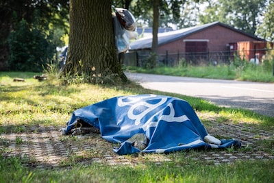 Levende dieren gedumpt bij destructiebedrijf Rendac in Son, stellen dierenwelzijnclubs