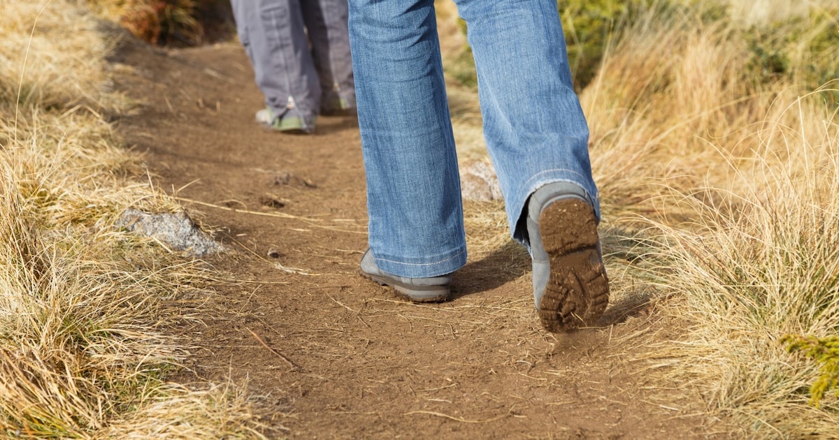 Wandeltocht in Reusel haalt geld op voor Hersenstichting