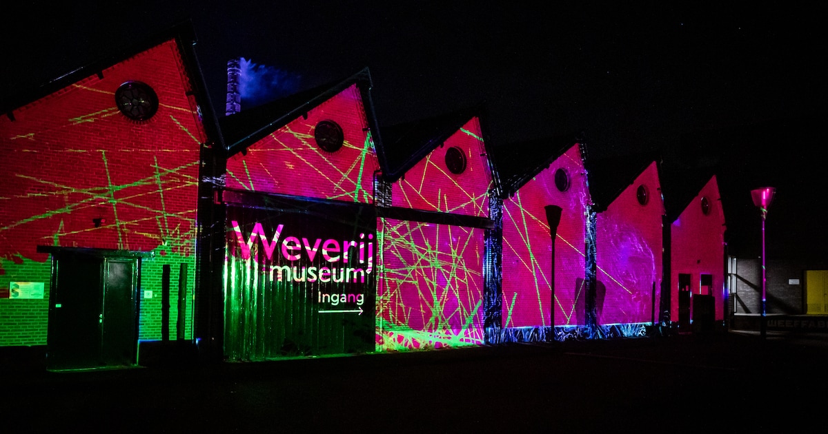 Weverijmuseum opent internationale tentoonstelling The Murmuration ...