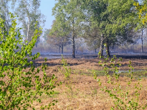 Brandteam Zuid-Nederland bijna paraat om met motorzaag en zweep vlammen in de natuur te doven