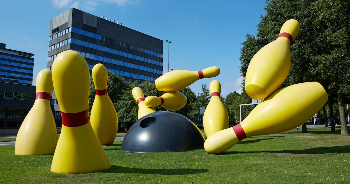 Flying pins must be preserved for the gray Fellenoord | Nieuws | ED.nl