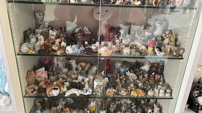 Paula heeft een kast vol kattenbeeldjes, babycommode in Heeze