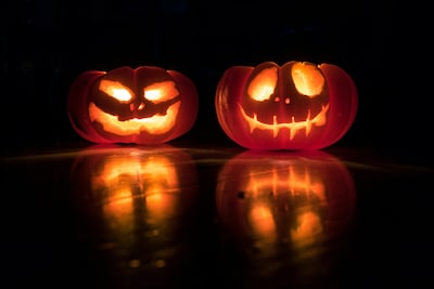 Eindhoven Zoo in Nuenen verandert in Halloweenpark tijdens ‘Boeh! in de ZOO’