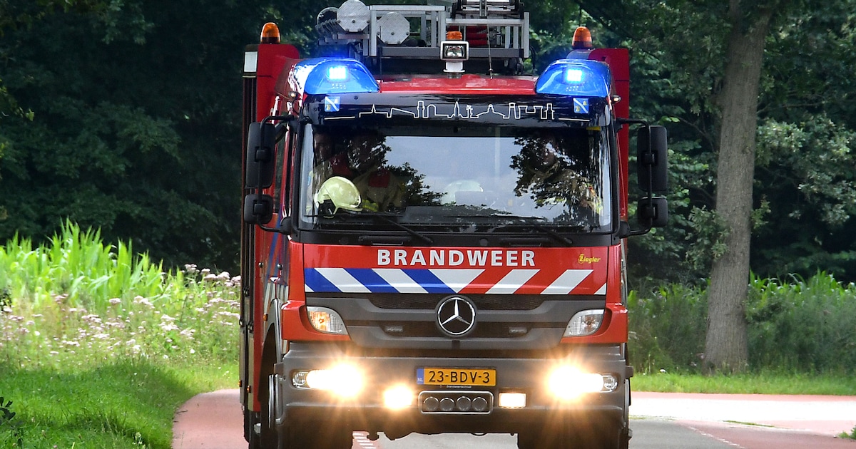 Brand breekt uit in bosgebied aan rand van Mierlo, brandweer rukt met groot materieel uit