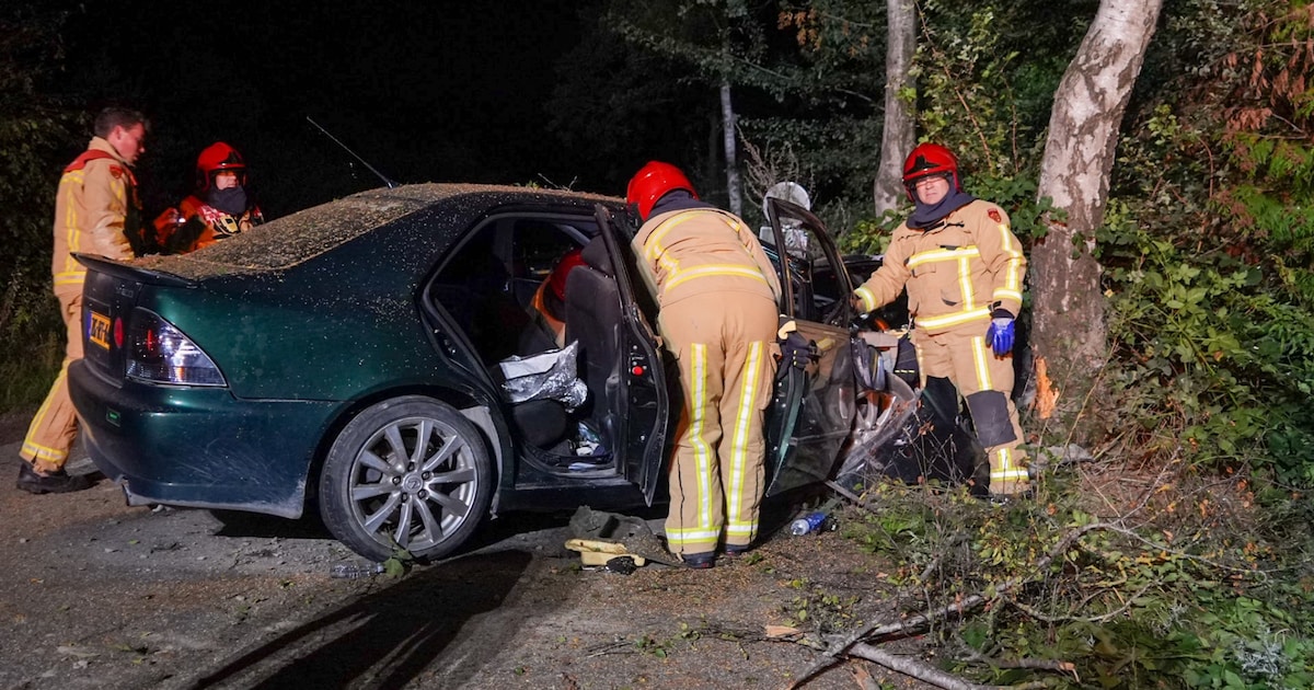 Auto botst tegen boom in Bakel, bloedsporen aangetroffen maar bestuurder spoorloos