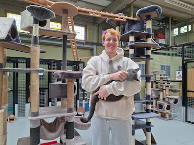 7 x deze verhalen werden het meest door jullie gelezen in 2025