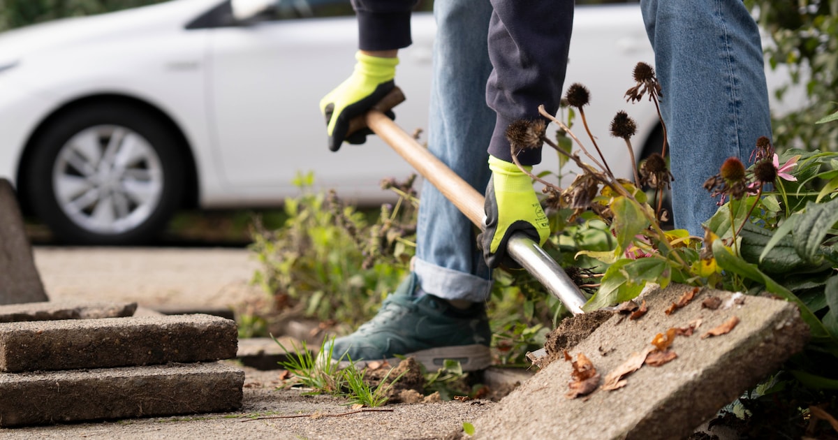 Bladel gaat strijd aan in NK Tegelwippen