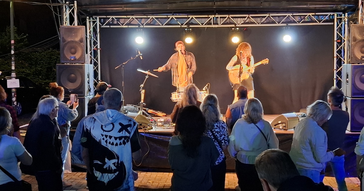 Afterparty Zebra Festival in Gemert: muziek en dansen met Vinylclub-dj’s