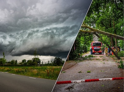 Storm zorgt voor grote schade in Best: bomen omver