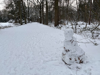 Eindje door de sneeuw: maak een winterwandeling door het Philips de Jonghpark