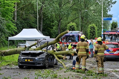 Bestuurder overleden nadat boom op auto valt in Boxtel