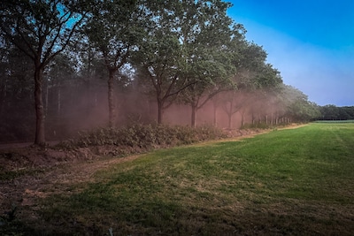Bosbrand in Nuenen na ‘speurtocht’ gevonden: stofwolk zorgt voor verwarring bij brandweer