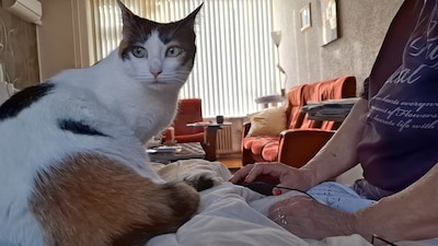 Vrouw eet een tartaartje als een kogel naar binnen vliegt: ‘Je moet er niet aan denken dat die kogel