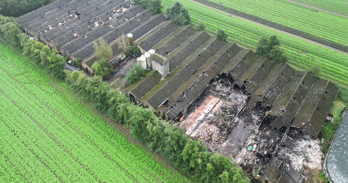 Hoe een voormalige varkenshouderij in Lierop uitgroeide tot een gevaarlijk en omstreden terrein