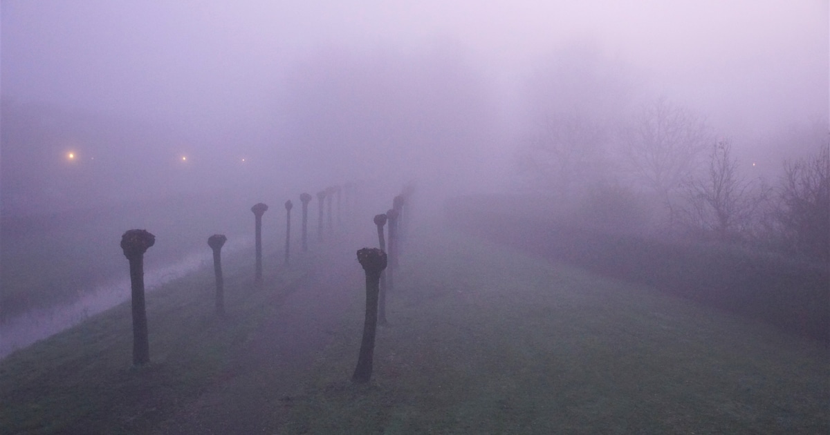 Wolken met lokaal kans op mist, weinig ruimte voor opklaringen. in Cranendonck in de nacht
