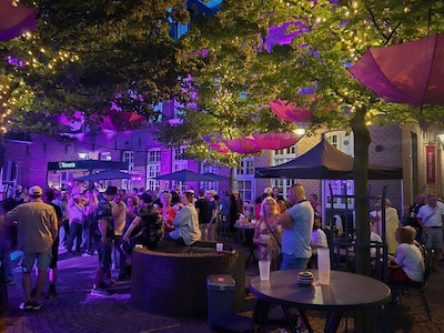 Edison-winnaar komt spelen en toch kan Musique en Plein Public festival gratis blijven