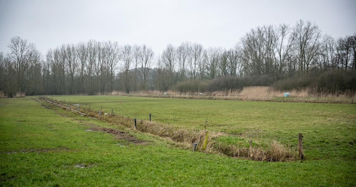 Zelfbouwpercelen beschikbaar in Haghorst en Hilvarenbeek