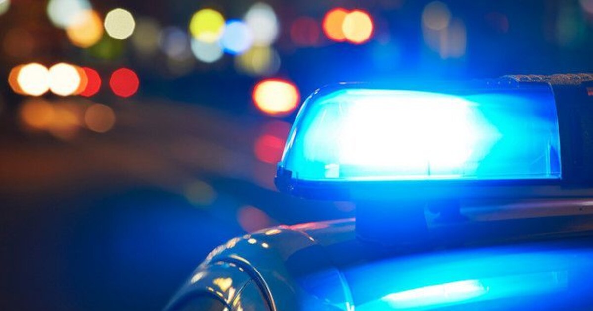 Twee drugspanden in Budel-Schoot dicht