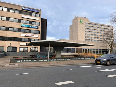 Betonnen padden­stoel van zeven meter hoog tóch aan de Dommel, en daar is niet iedereen blij mee