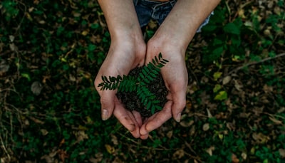 Klimaatweek brengt Eindhoven in beweging met lezingen en rondleidingen