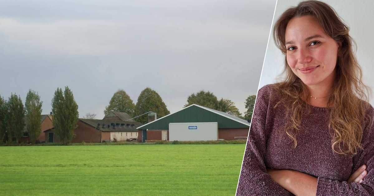 Ik ben benieuwd: wat zijn de mooiste verhalen uit Reusel-De Mierden?