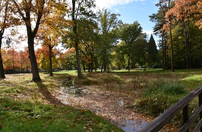 IVN-gidsen nemen wandelaars mee over landgoed de Grote Beek in Eindhoven