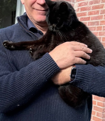 Heb jij Prins, Moos of Jouri gezien? Deze zeven huisdieren worden in Den Bosch vermist