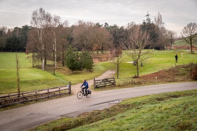 Wandelen met IVN-gidsen: ontdek Gulbergen en Steenoventerrein