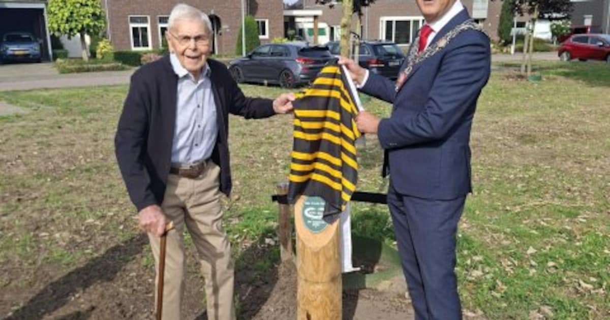 Meneer Rijken krijgt jubileumboom in Duizel voor 100ste verjaardag