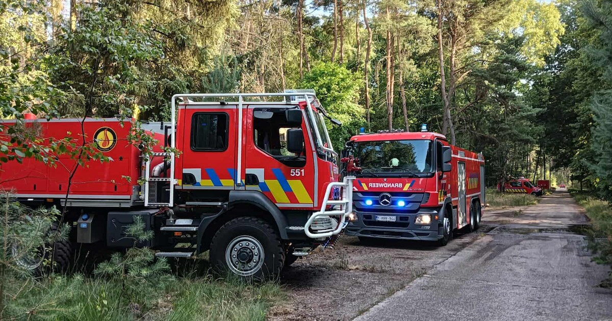 Belgische en Nederlandse brandweer werken samen bij natuurbrand op ...