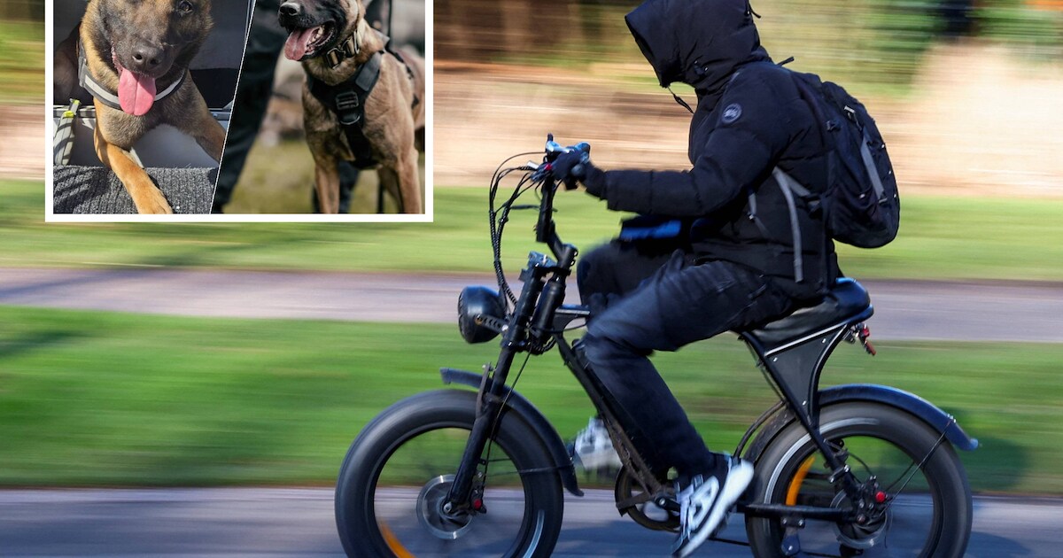 Drie minderjarigen beroven jongen van fatbike in Vught, politiehonden Finn en Bikkel helpen bij aanh