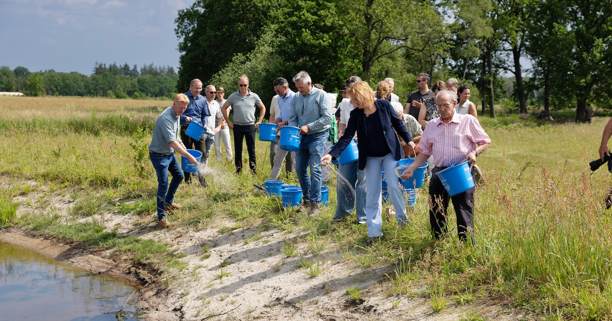 Tongelreep kronkelt weer als vanouds: beekdal na dertig jaar werk officieel geopend in Valkenswaard