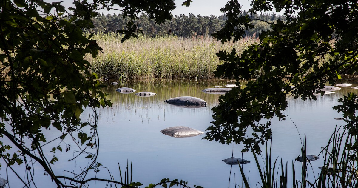 Werkzaamheden Groot-en Kleinmeer in Wintelre starten na de zomer