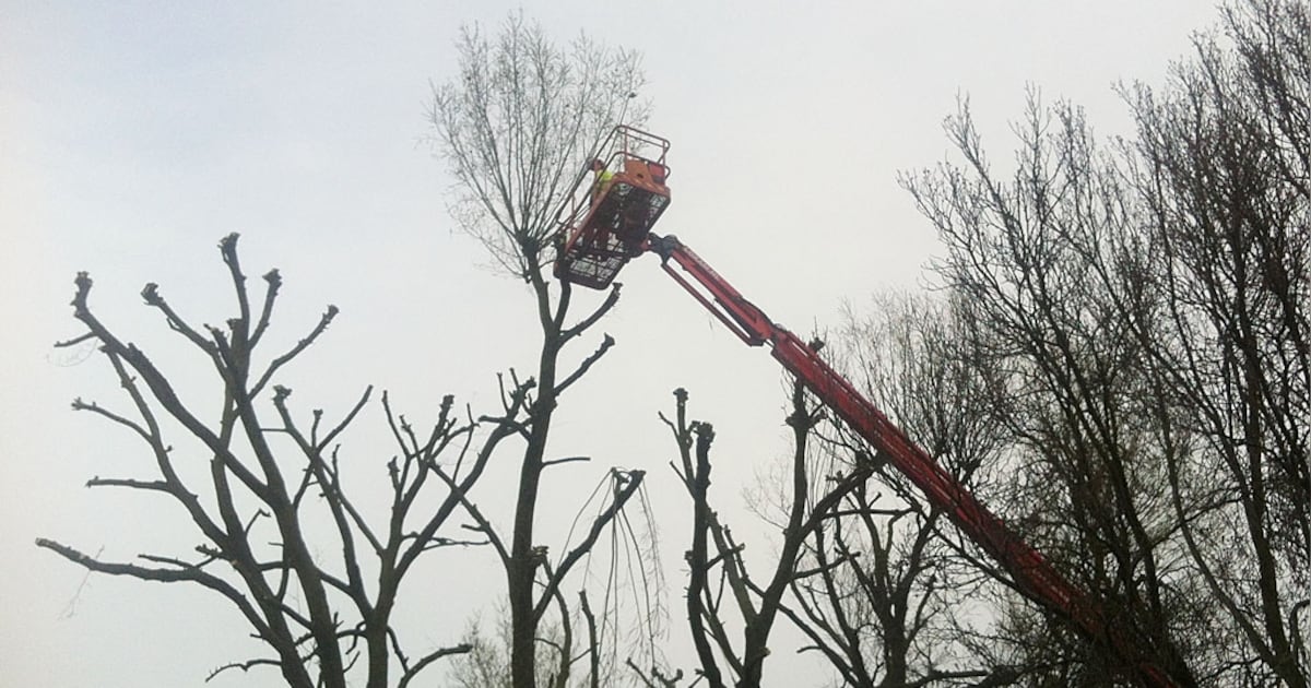 Gemeente Heeze-Leende snoeit hagen in Engelse Tuin en De Weibossen