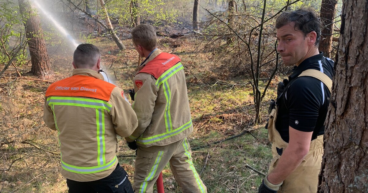 Brandweer legt met man en macht ‘stoplijn’ aan voor camping bij bosbrand Hooge Mierde
