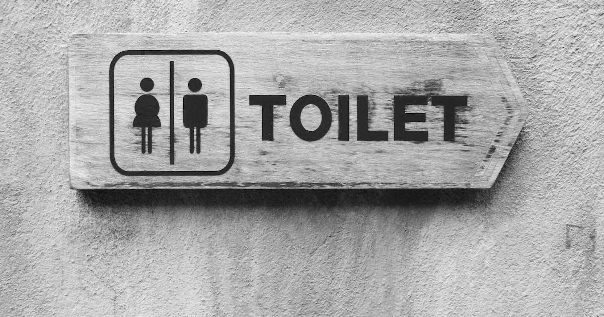 Bergeijk werkt aan inclusieve en toegankelijke openbare toiletten