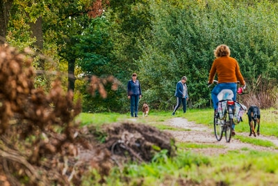 Hondenbelasting stijgt in Geldrop-Mierlo en gaat nog verder omhoog