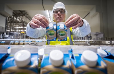 Roommakers staken: werk neergelegd bij FrieslandCampina in Nuenen