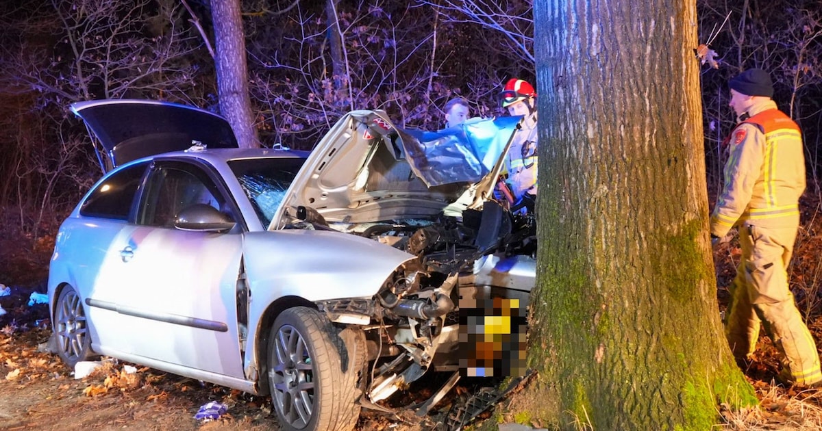 Bestuurder knalt tegen boom in Vlierden