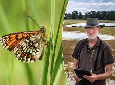 Natuur in boerenland: goed voor de muizen en dus ook voor de uilen