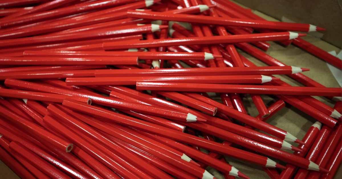 Gemeenteraadsverkiezingen: alle lijsttrekkers in Cranendonck op een rijtje