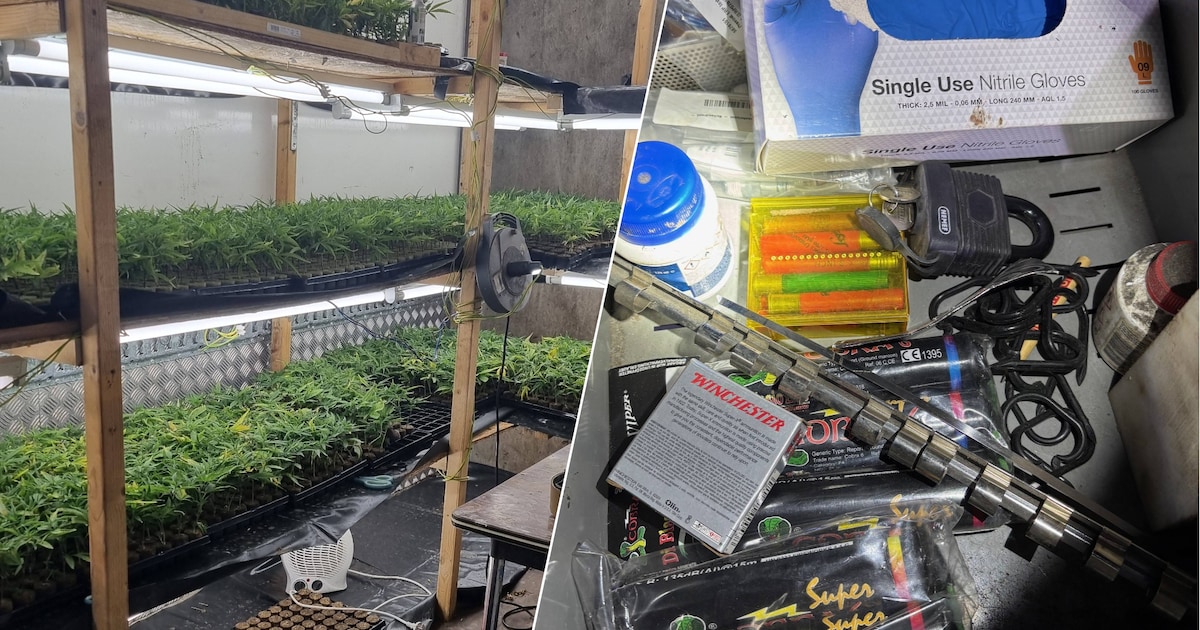 Agenten stuiten op wapens, hennep en illegaal vuurwerk in Deurnes buitengebied