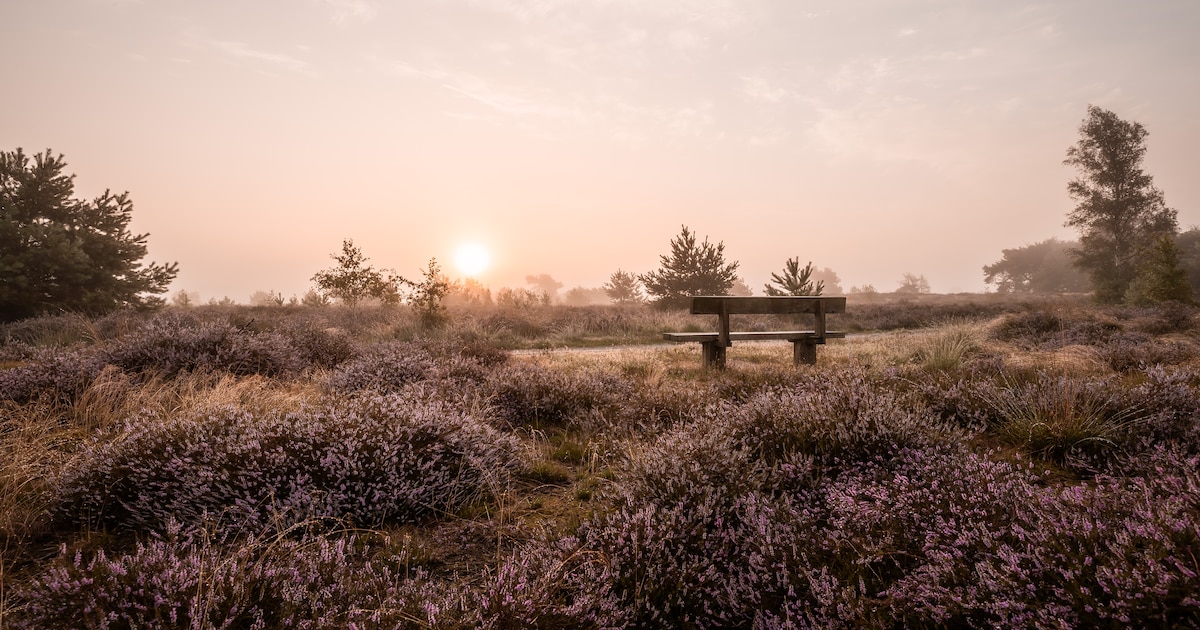 Filmmiddag bij IVN Mierlo: beelden van diverse natuurgebieden in onder meer Brabant