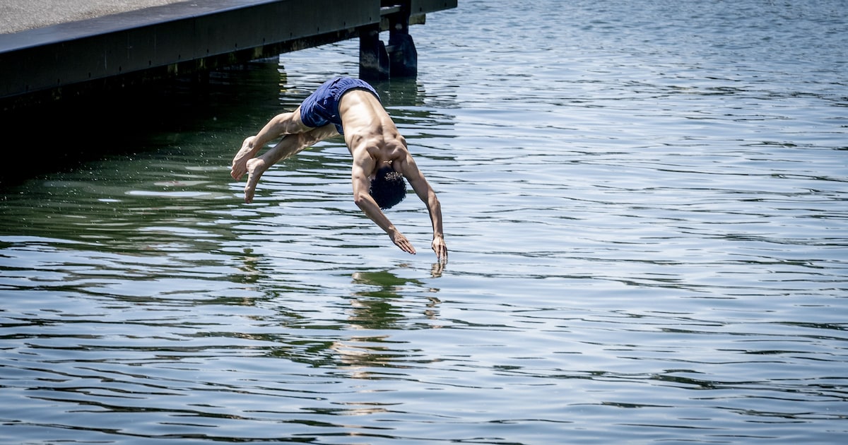 Een frisse duik nemen? Op deze zwemplekken in Veldhoven is de waterkwaliteit in orde