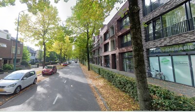 Celstraf van een maand en taakstraf voor ‘vlaggendief’ in Rijen, die daar met carnaval flink door he