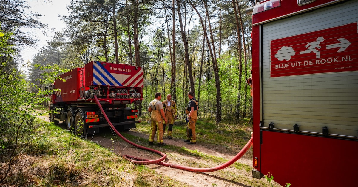 Weer laait vuur op in bossen bij Oostelbeers, brandweer schaalt op