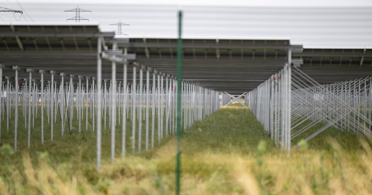 Groep inwoners Maashees en Holthees protesteert tegen zonnepark
