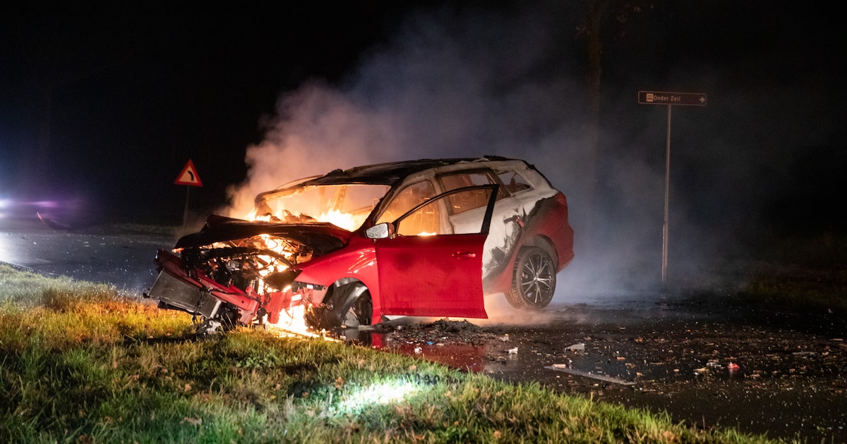 Auto vat vlam na botsing tegen boom bij Roosendaal, bestuurder gewond